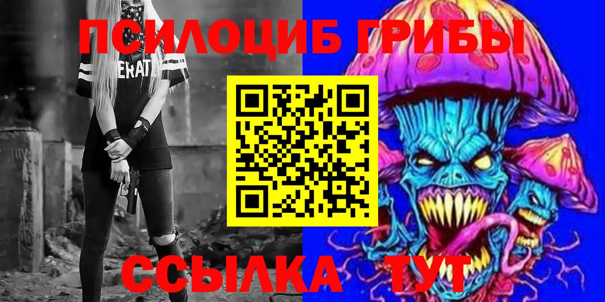 Елец  Псилоцибиновые грибы Psilocybe  Вход с VPN 