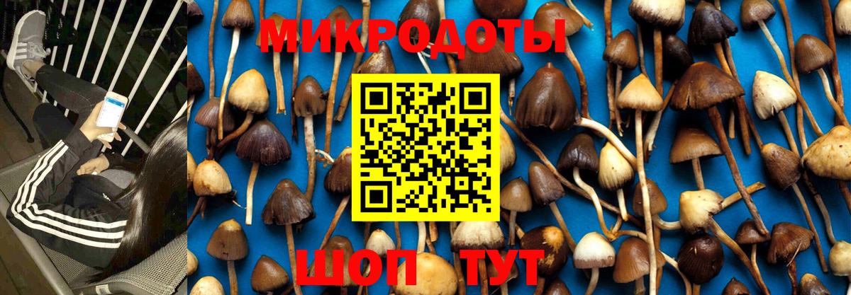 Псилоцибиновые грибы прущие грибы Елец
