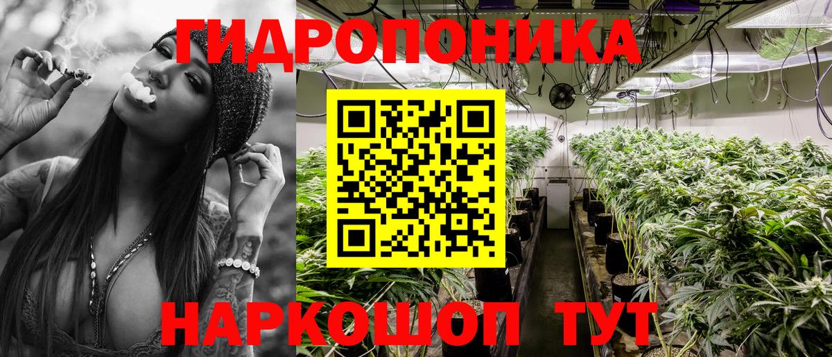 Бошки Шишки планчик  Вход с VPN  Бошки марихуана Amnesia  Каннабис Ganja  МАРИХУАНА LSD WEED  Елец 